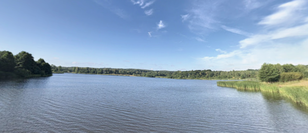Jezioro i trzciny